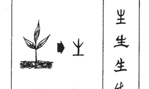 火郁汤的功效与禁忌-火郁汤的功效网火郁汤的功效与禁忌知识网站,分享火郁汤的功效与禁忌大全