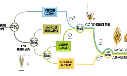 火郁汤中医方剂-火郁汤的功效网火郁汤的功效与禁忌知识网站,分享火郁汤的功效与禁忌大全